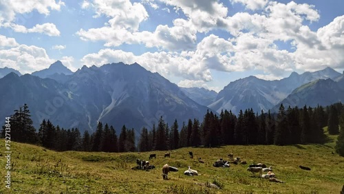 Timelapse of  Cows Relaxing on the Austrian Alps with Clowds flying Above Mountains in Background photo