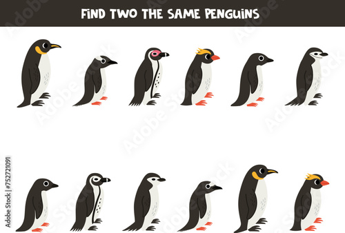 Find two the same penguins. Educational game for preschool children. photo