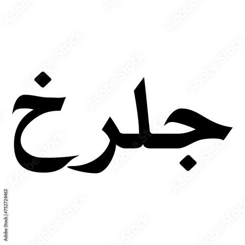 Golrokh Muslim Girls Name Naskh Font Arabic Calligraphy