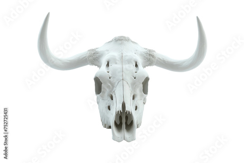 Bull Skull Isolated On Transparent Background