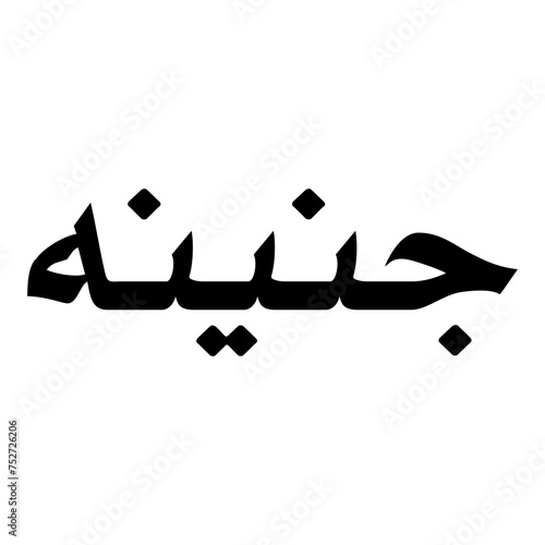 Janina Muslim Girls Name Naskh Font Arabic Calligraphy