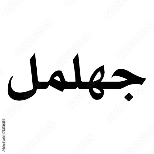 Jhilmil Muslim Girls Name Naskh Font Arabic Calligraphy photo