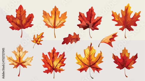 Maple leaves icon collection isolated on transparent