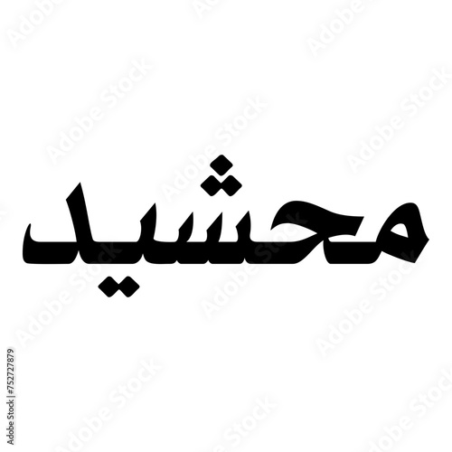 Mahsheed Muslim Girls Name Naskh Font Arabic Calligraphy