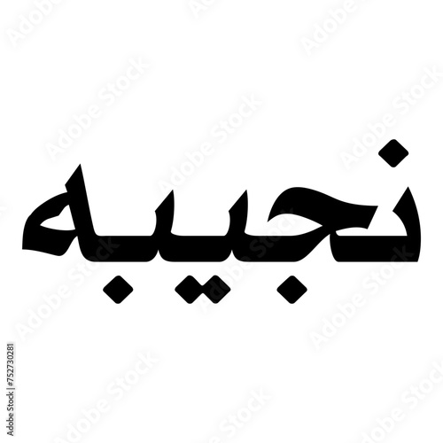 Najeeba Muslim Girls Name Naskh Font Arabic Calligraphy