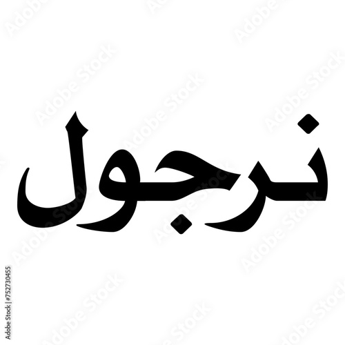 Nargol Muslim Girls Name Naskh Font Arabic Calligraphy photo