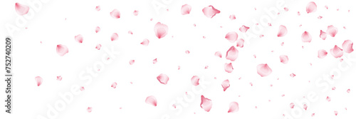 Flying pink petals transparent background. Beautiful floral overlay with lots of rose petals.