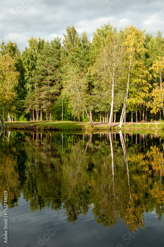 reflection of autumn trees in the lake