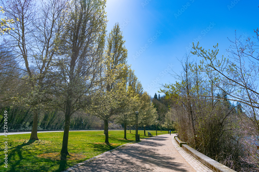 Spring park with green nature in sunny day with alley pathway outdoor