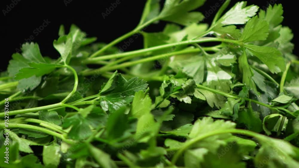 Macro close up of juicy fresh parsley rotating on a black background