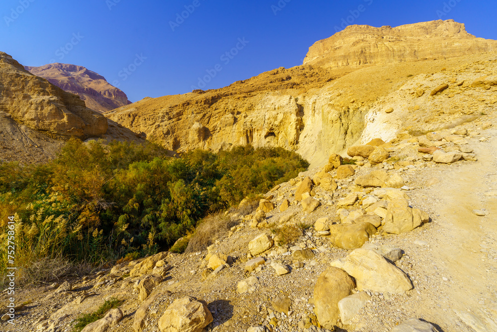 Desert Bokek valley, Dead Sea coast