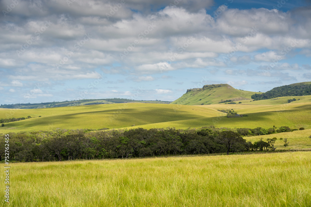 The Wild Coast, known also as the Transkei, open veld, fields of grassland and steamy jungle or coastal forests. The rugged and unspoiled Coastline and grasslands and African veld grazing for Nguni ca