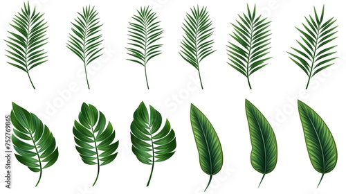 Tropical Greenery: Collection of Palm Leaves Forming a Green Leaves Pattern