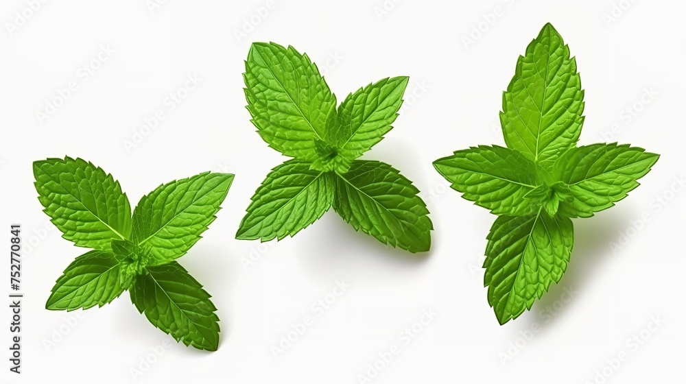 Freshness Unleashed: Mint Leaf Isolated on White Background Freshness Unleashed: Mint Leaf Isolated on White Background