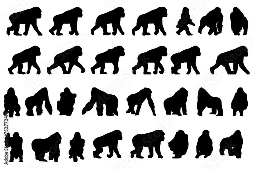 Abstract Vector Gorilla Silhouette Set