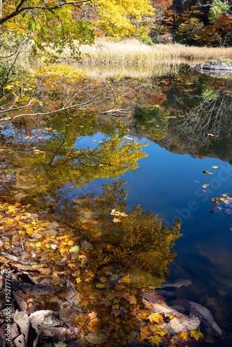 紅葉真っ盛りの医王山県立自然公園 © Nature K Photostudio