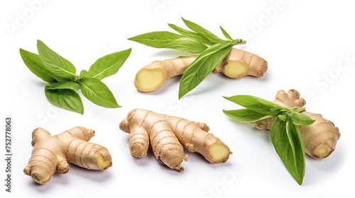 Ginger Infusion: Set of Fresh Ginger Rhizome with Sliced and Green Variations photo