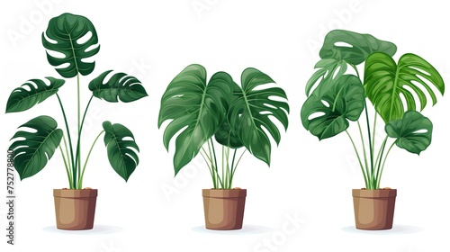 Tropical Greens: Set of Palm Leaves Collection with Green Leaves Pattern