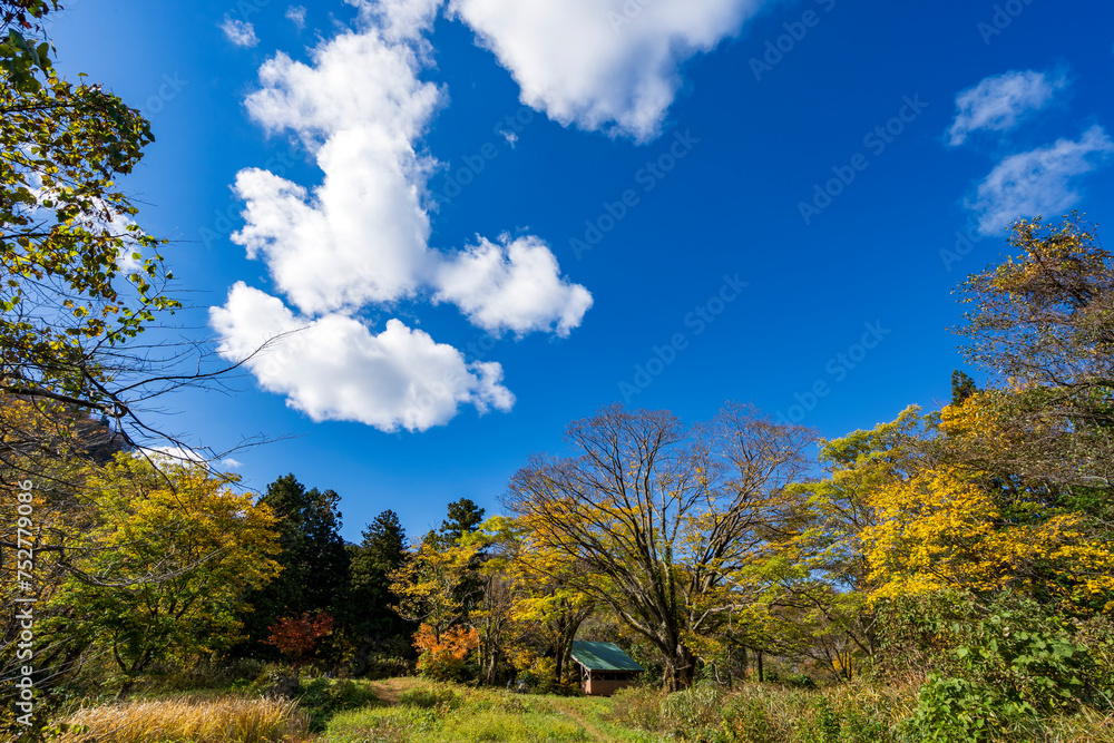 紅葉真っ盛りの医王山県立自然公園 紅葉真っ盛りの医王山県立自然公園