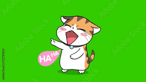 laugh animation orange cute cat on green screen