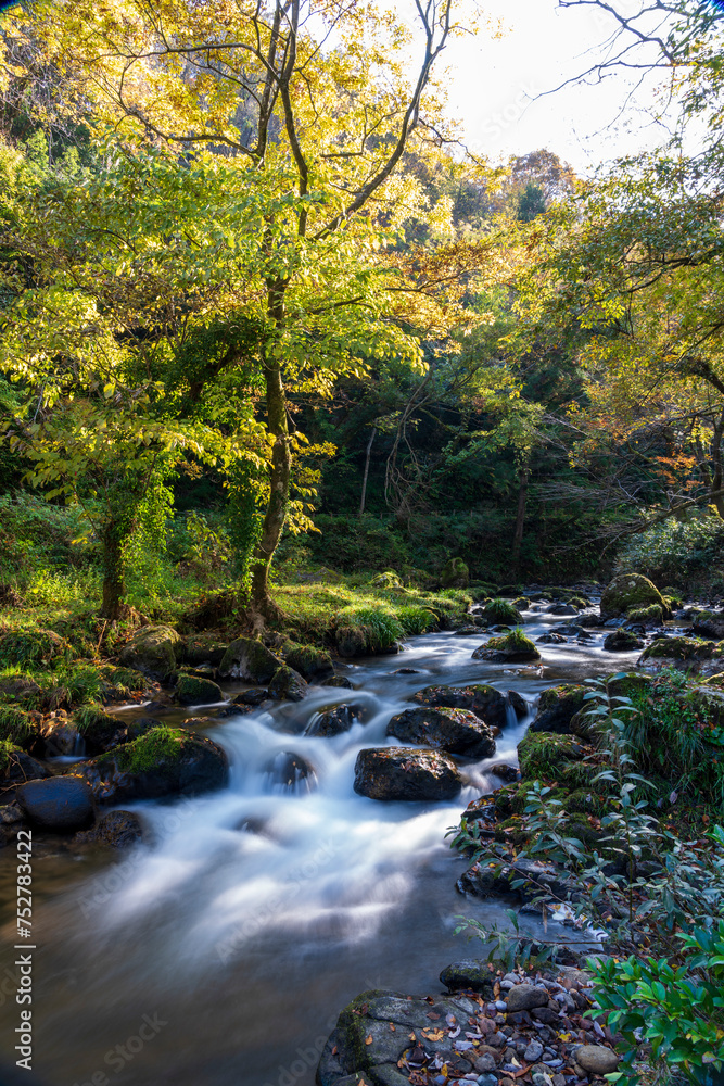 秋の清流風景・石川県小松市荒俣峡