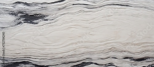 Elegant Black and White Marble Background with Delicate Veins and Swirling Patterns