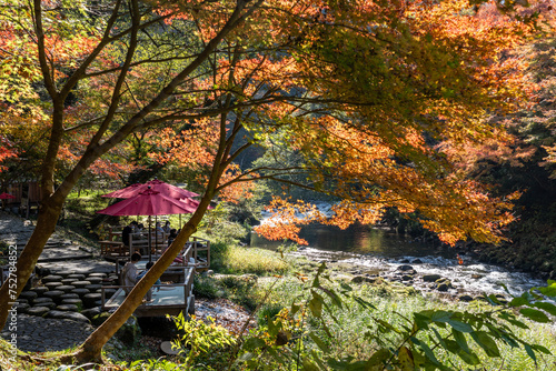 加賀温泉郷山中温泉の景勝地・鶴仙渓川床