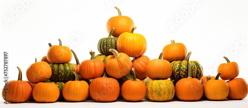 Abundance of Colorful Pumpkins and Squashes in Harvest Season Celebration