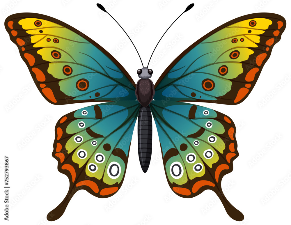 Colorful butterfly with detailed wing patterns Colorful butterfly with detailed wing patterns