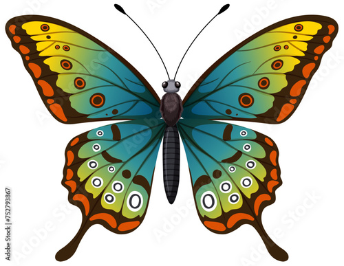 Colorful butterfly with detailed wing patterns