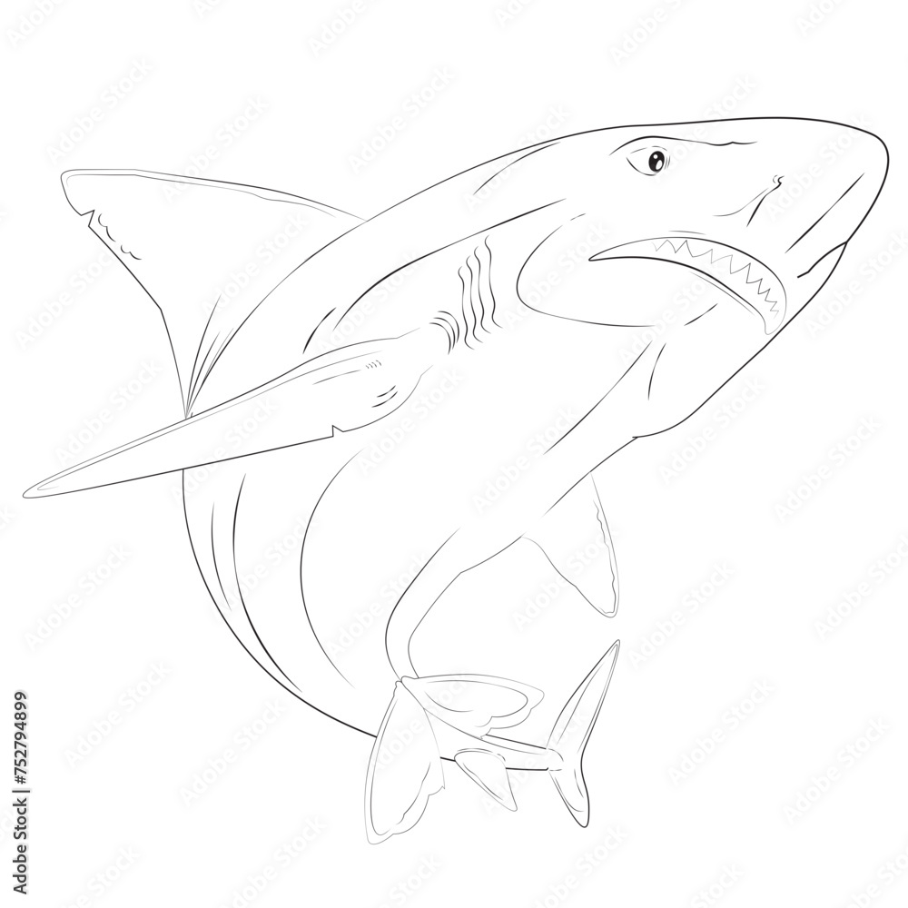 Fototapeta premium Angry Shark Sketch