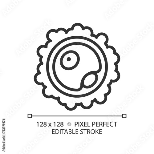 Ovum egg linear icon. Reproductive health, menstrual biology. Female fertility. Human dna, microbiology. Thin line illustration. Contour symbol. Vector outline drawing. Editable stroke