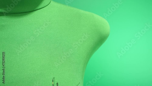 下から現れ方の裏へ消えていくジョロウグモ