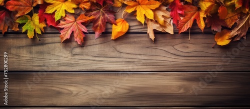 Rustic Wooden Background Adorned with Vibrant Autumn Leaves in a Whimsical Display of Nature's Beauty