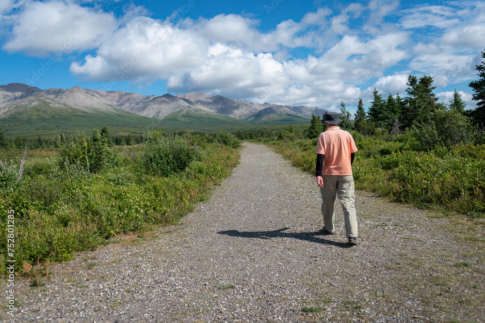 Man walking at Denali National Park and Preserve. Alaska. USA.