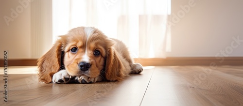 Adorable Canine Relaxing on the Cozy Living Room Floor with a Playful Expression