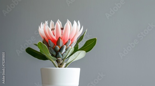 A delicate pink and white flower gracefully adorns a pristine white vase