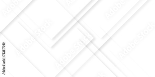 Minimal geometric white light background abstract design.gray leaves that reflect concrete walls on a white wall surface.close-up fragment white line shadow.