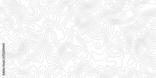 Abstract white topographic map background with lines. Background of the topography map. White wave paper curved reliefs abstract background. The topographic map contour in lines isolated.