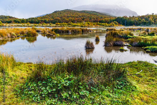 Tierra del Fuego National Park, Patagonia, Argentina