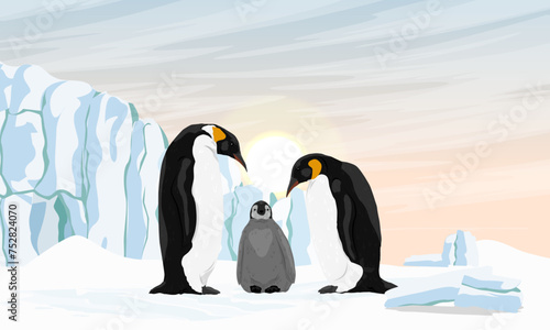 A family of emperor penguins with a chick are standing in the snow near a large glacier. Birds of the South Poles. Realistic vector landscape