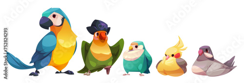 Color birds set isolated on white background. Vector cartoon illustration of exotic cockatoo parrot, comic feathered mascot in pirate hat, gray dove and yellow canary sitting, tropical design elements