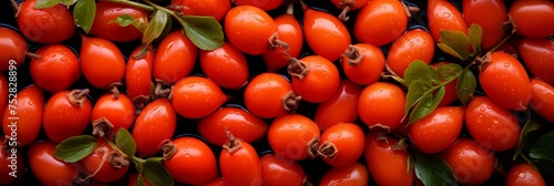 Fresh wet rosehip fruits background, backdrop, banner, texture. Rosehip berries closeup shot with water drops