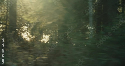 Side natural hand held shot of forest passing in front of moving camera. Opening or b-roll shot of riding or running on gravel forest road path or trail