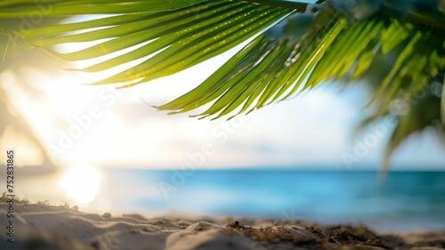 Palm leaf on sand near beach with sun reflection on water 