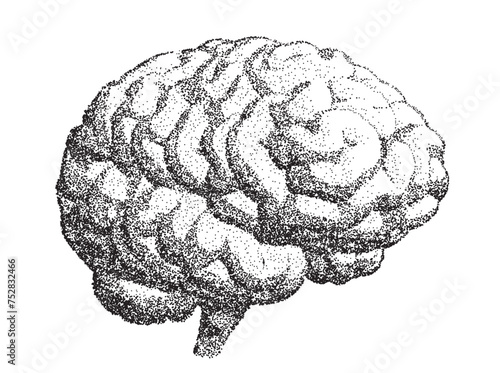 Human Brain, Half Turn View, Isolated on White Background With Stipple Effect. Vector Illustration