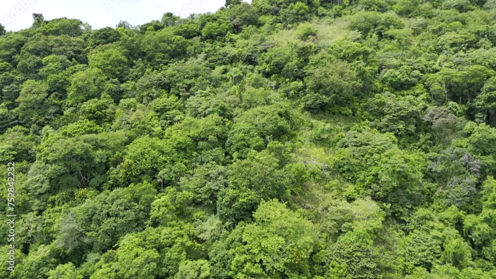 Aerial shot drone flies backwards from forest on island to reveal beach Aerial shot drone flies backwards from forest on island to reveal beach