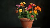 A vibrant potted plant with colorful flowers adds beauty to the tabletop