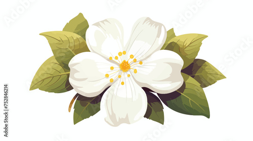 White flower vector illustration © Aina