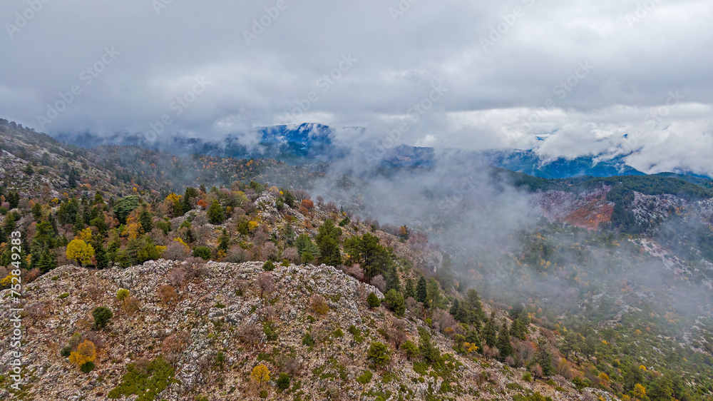 Forest view in foggy weather. Burdur Turkey.